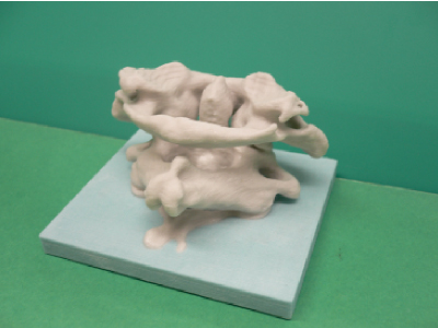 3Dプリントモデルコーティング剤 モデリングコートの活用例_含浸