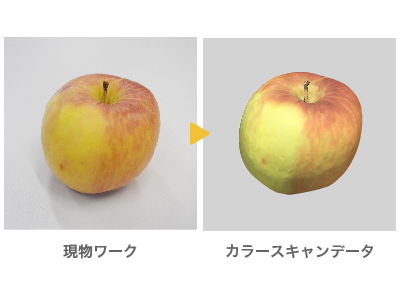 りんごの実物とスキャンデータ