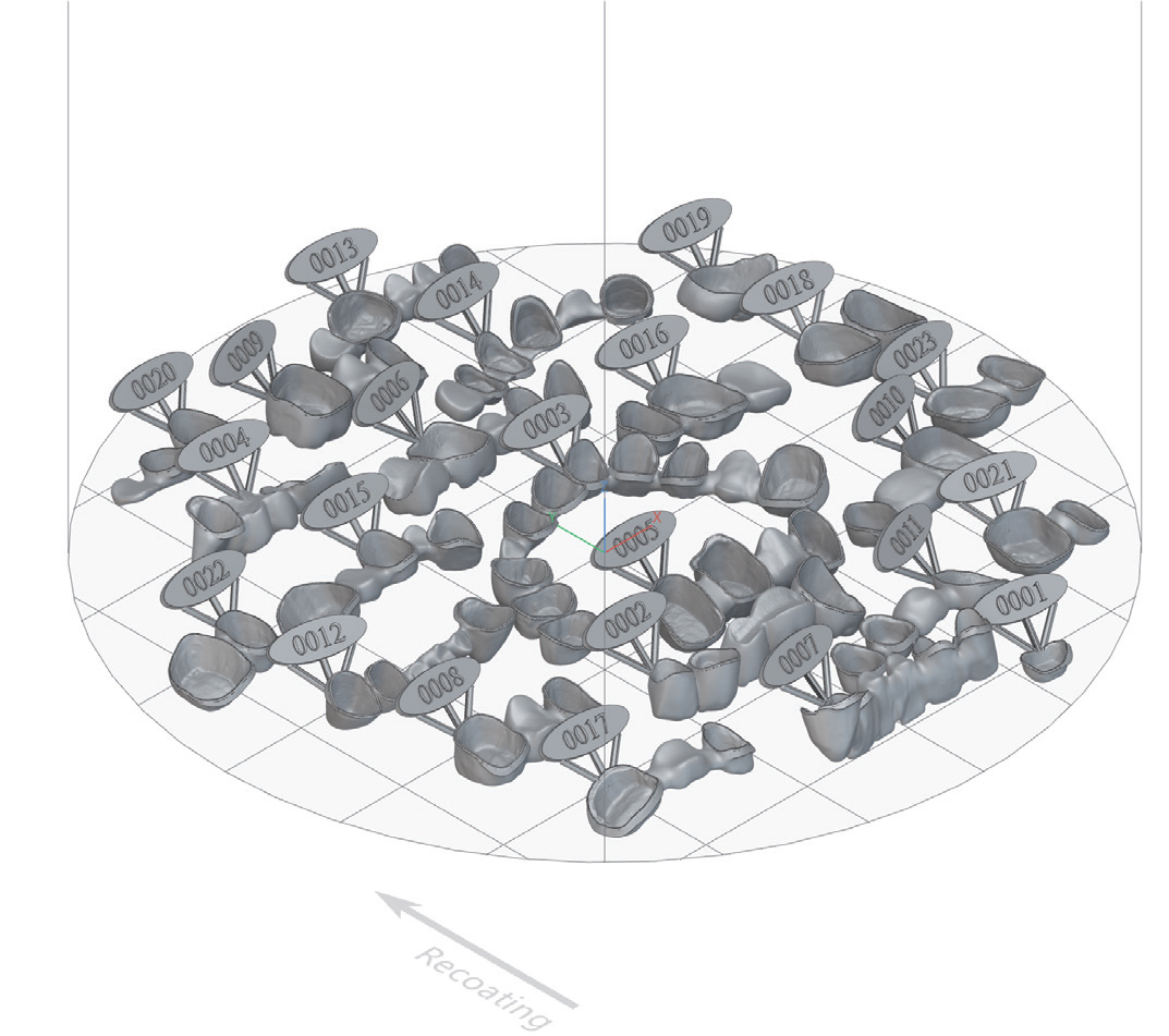 Voxeldance Additive Dental Premium クラウンへの自動ラベル